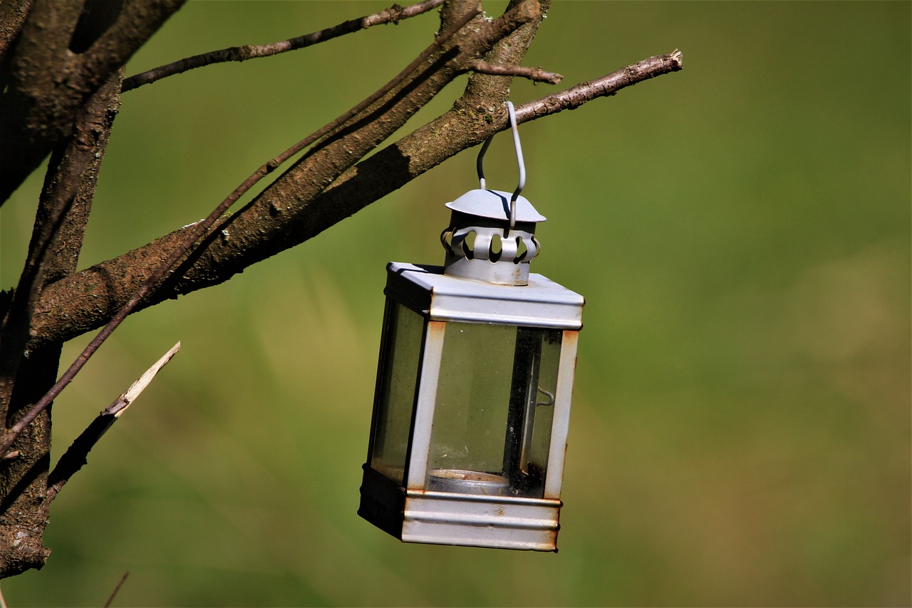 Oświetlenie ogrodowe - gdzie zamontować konkretne lampy?